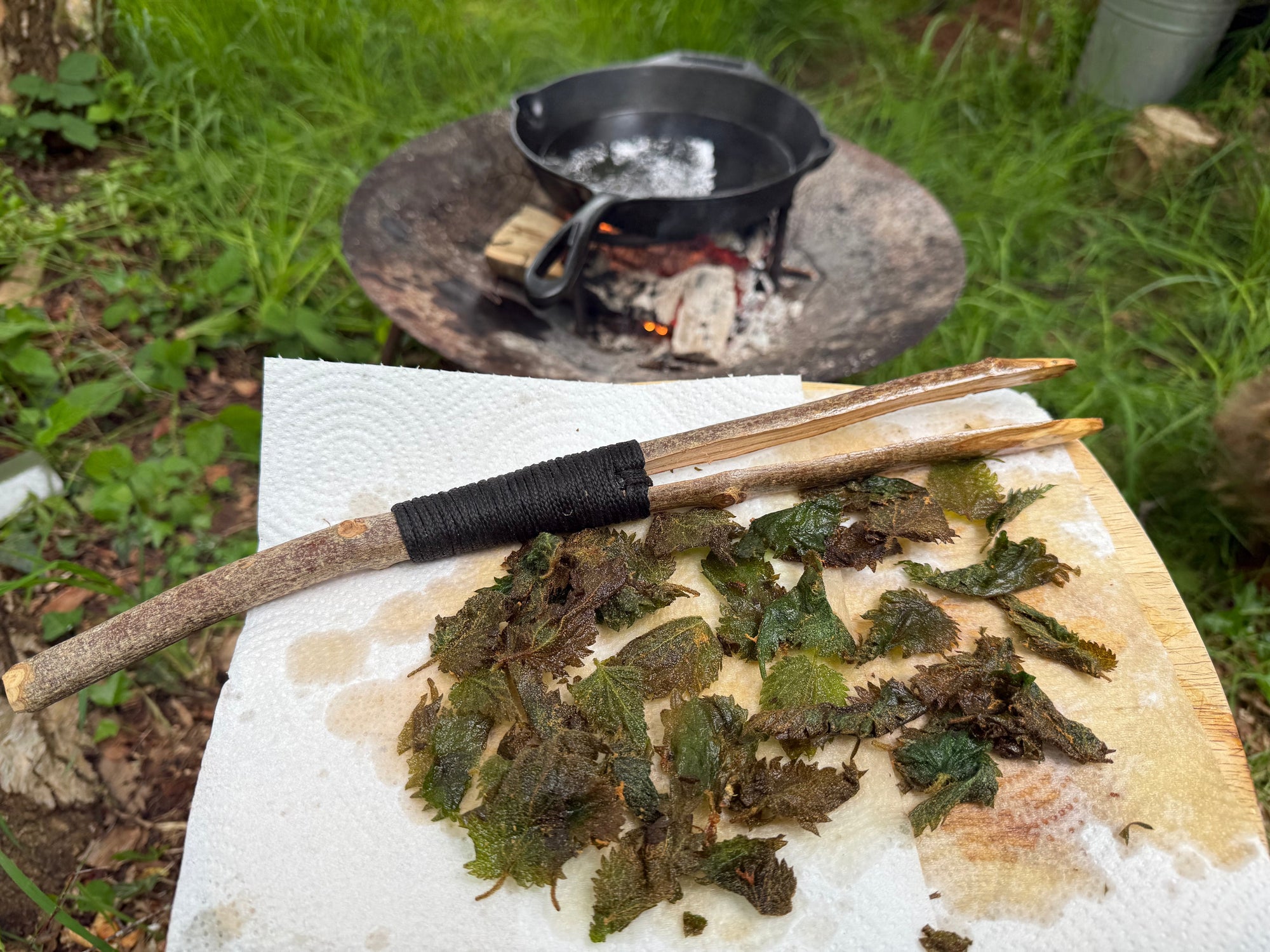 Campfire Cooking - Nettle Crisps