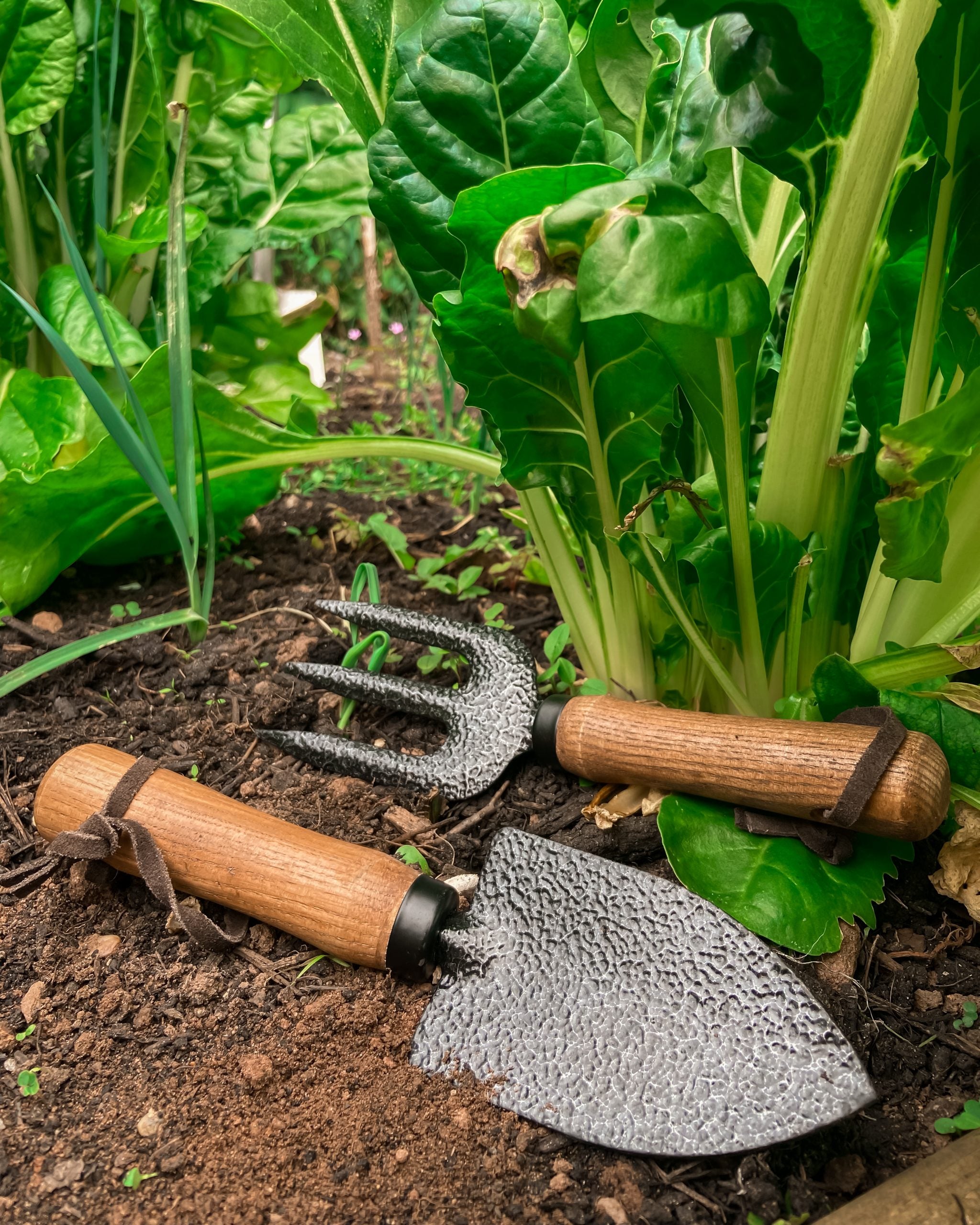 Gardening Tools