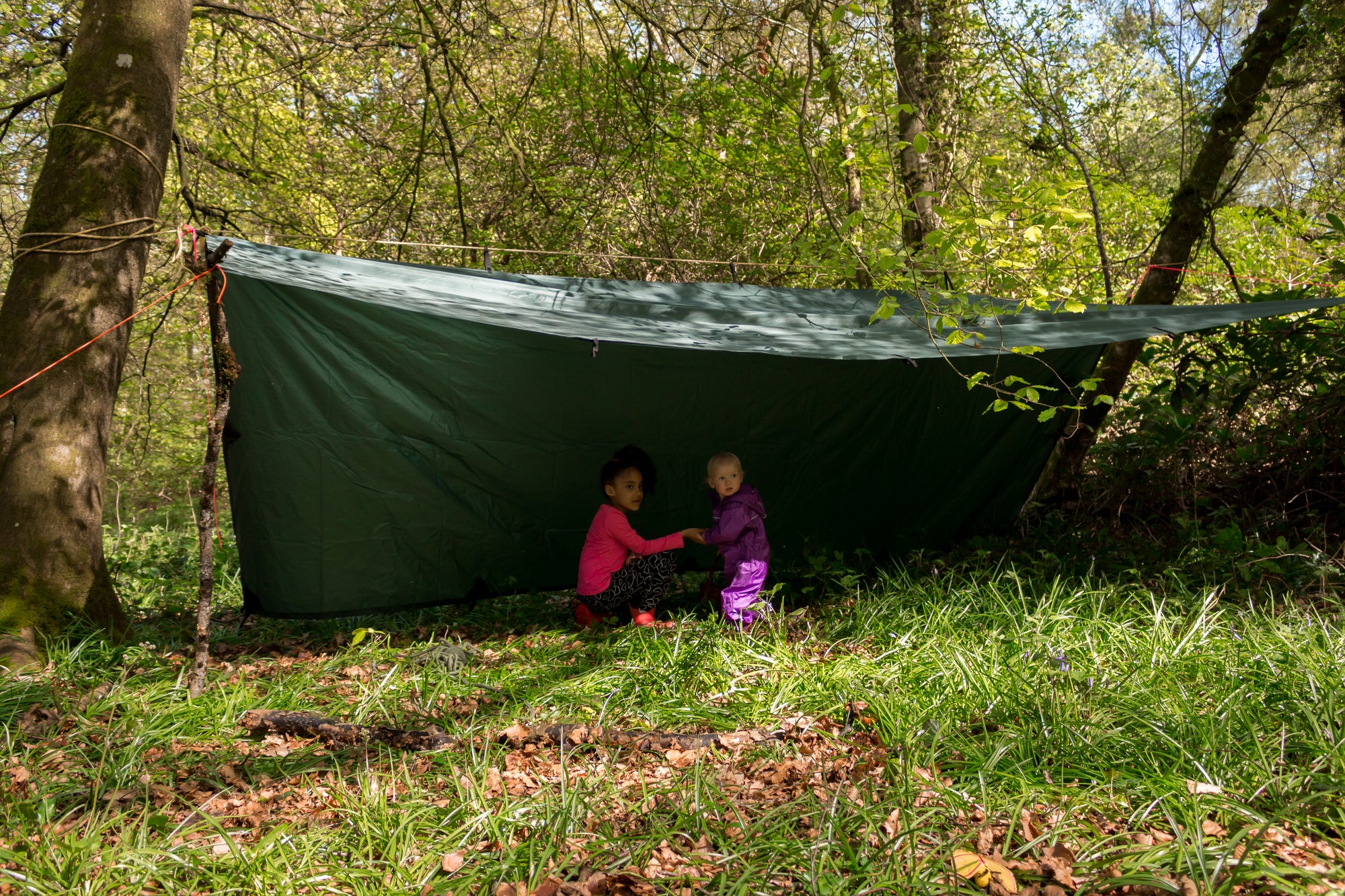 Shelter Building