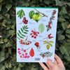 Autumn Fruits and Seeds ID Guide