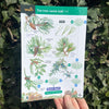 A Key to Common Trees ID Guide