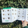 Bees of Britain ID Guide