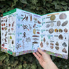Rocky Shore ID Guide