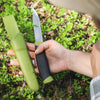 Morakniv Sheath Knife