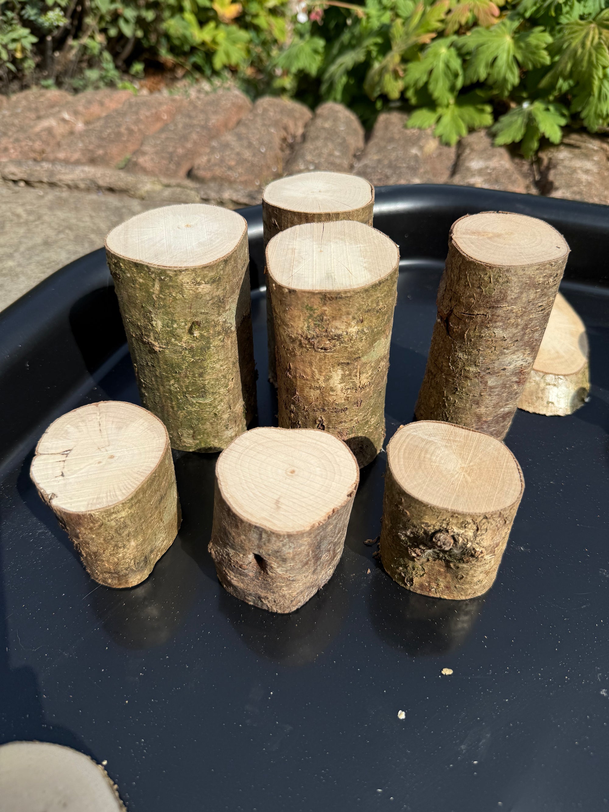 Wooden Play Logs/Cylinders