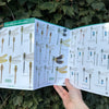 Dragonflies and Damselflies ID Guide
