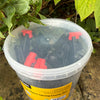 16pc Spring Clamp Set