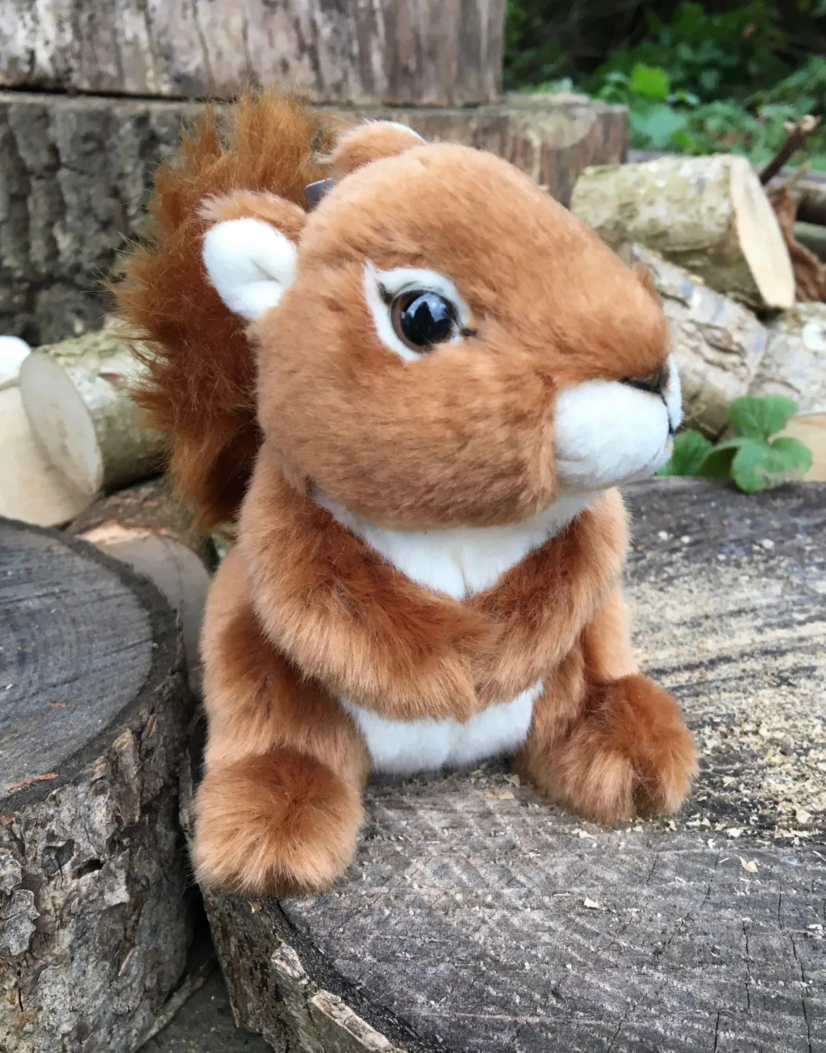 Red Squirrel Soft Toy