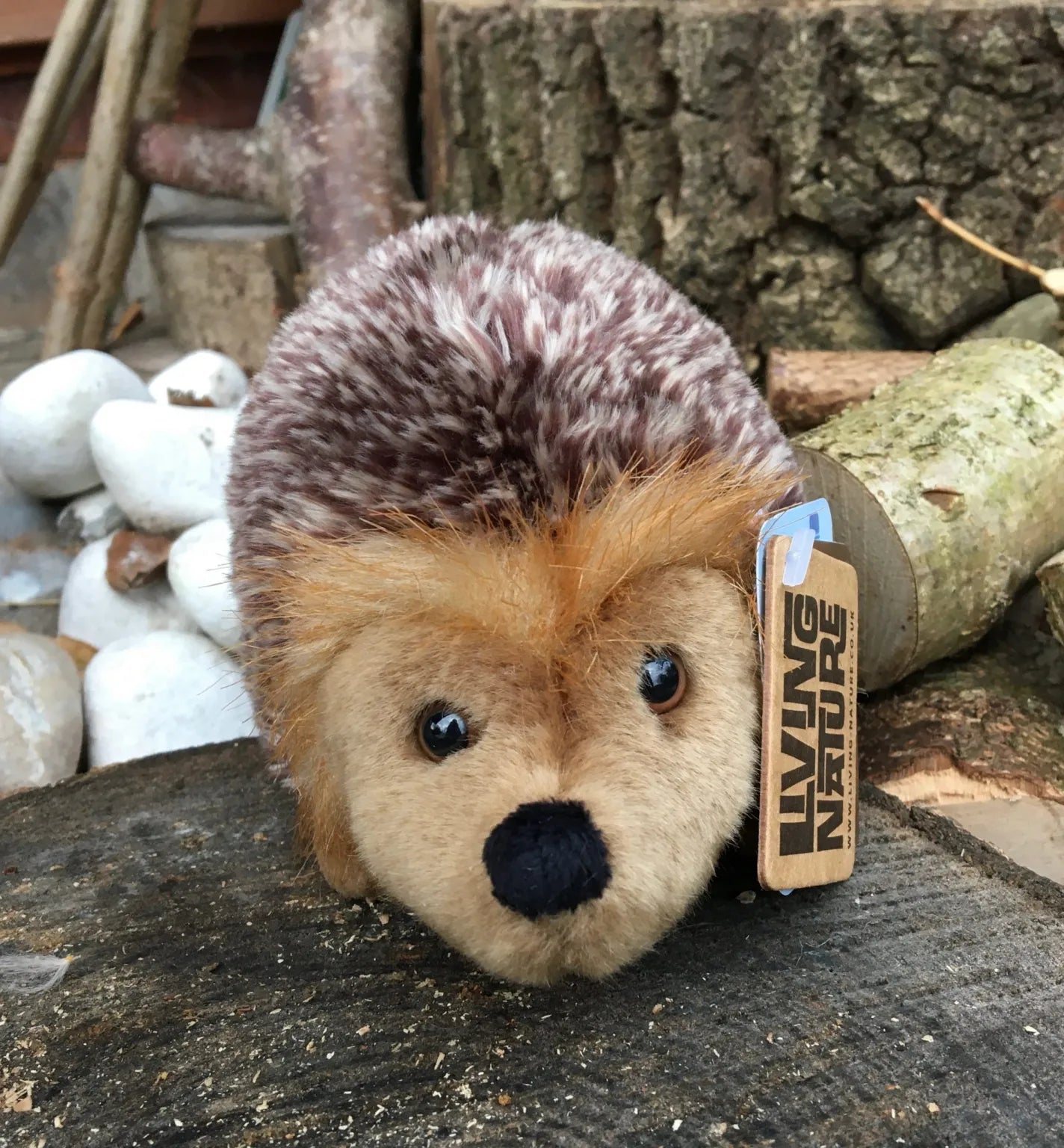 Hedgehog Soft Toy - Living Nature