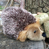 Hedgehog Soft Toy - Living Nature