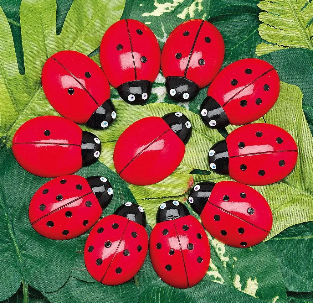 Ladybird Counting Stones