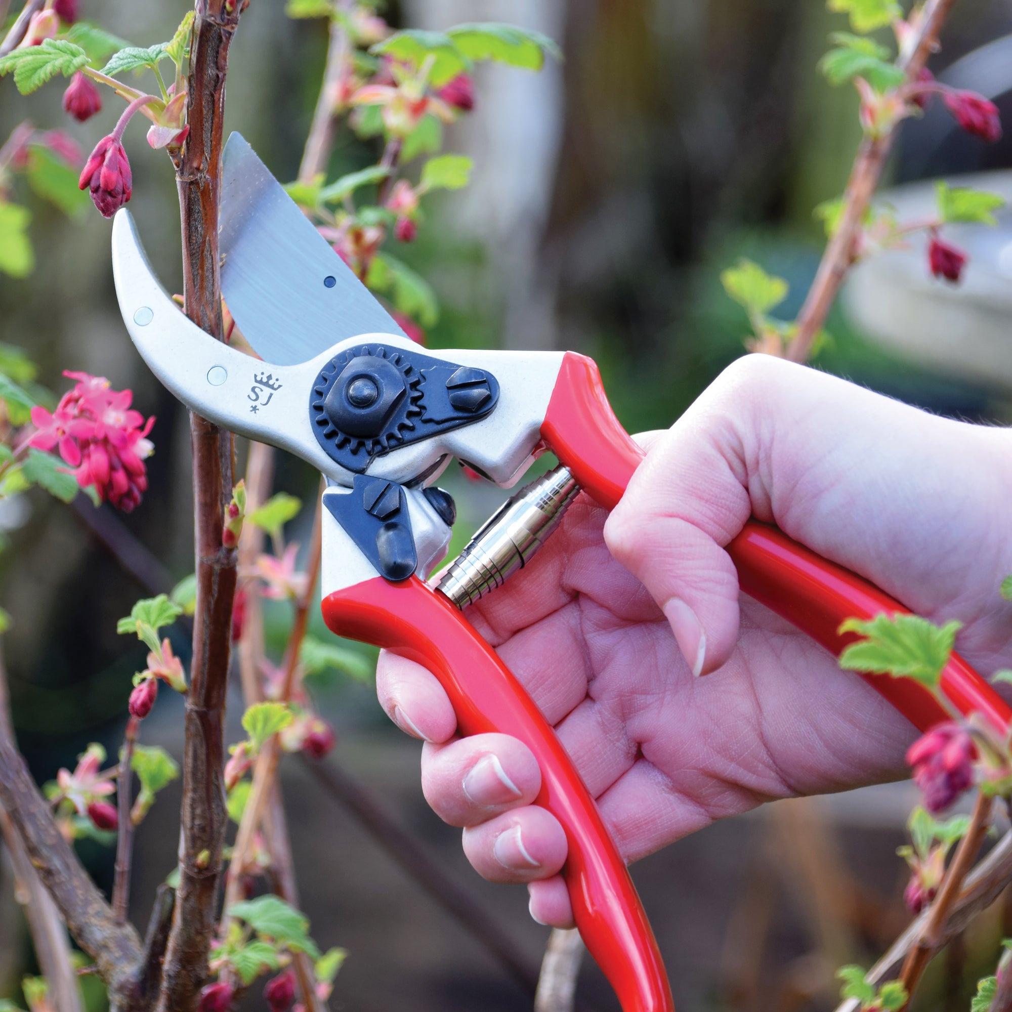 Spear & Jackson Heavy Duty Bypass Secateurs