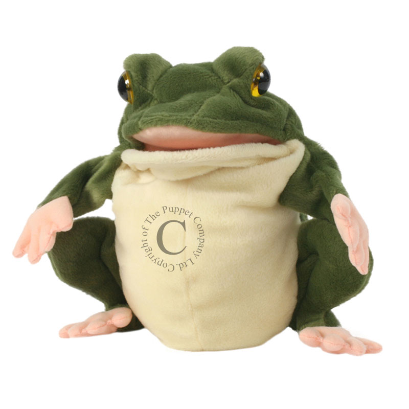 Woodland Hand Puppets - Frog • Outdoor Learning Resources